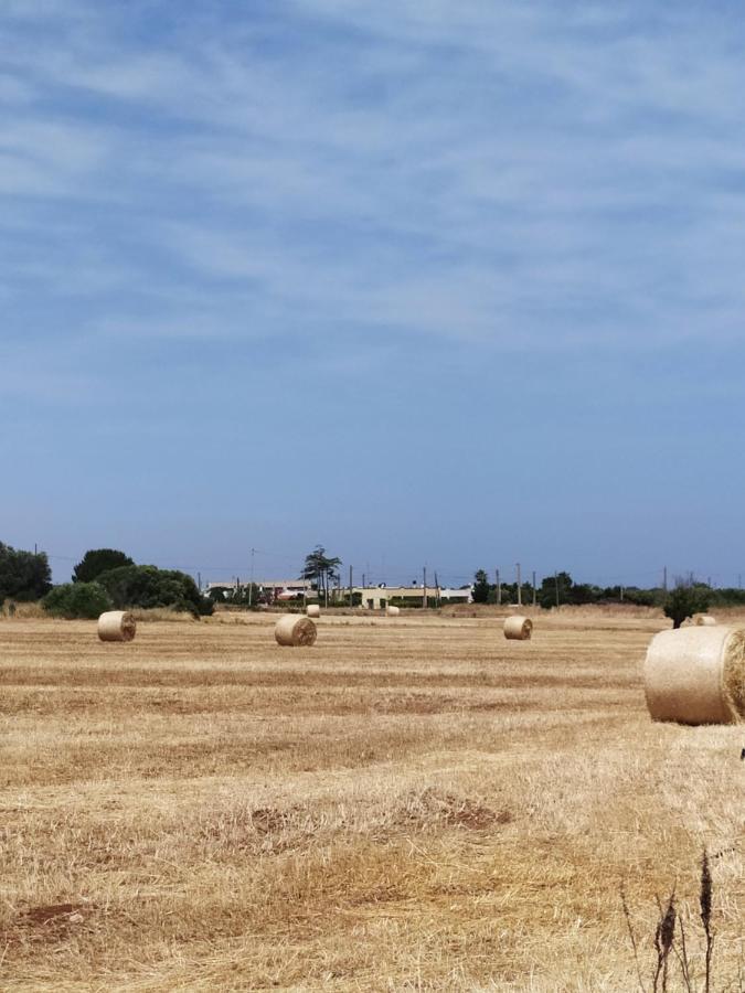 Villa Dimora Dell'Ulivo Polignano a Mare Exterior foto