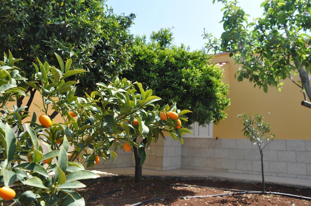 Villa Dimora Dell'Ulivo Polignano a Mare Exterior foto